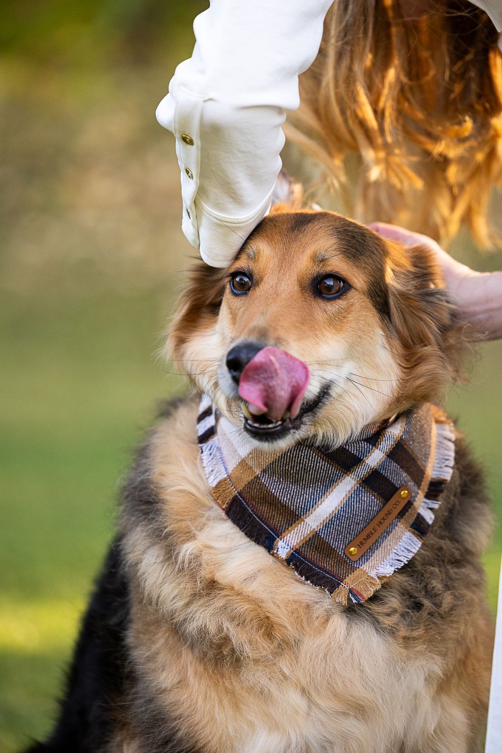 A fluffy dog wearing a plaid bandana licks its nose while being petted outdoors.