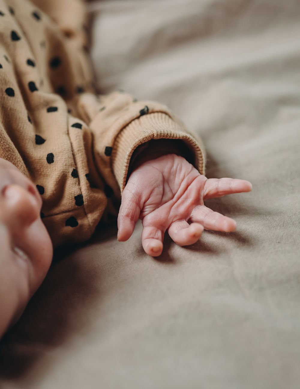 A close-up view of hands gently touching a soft brown polka-dotted fabric.