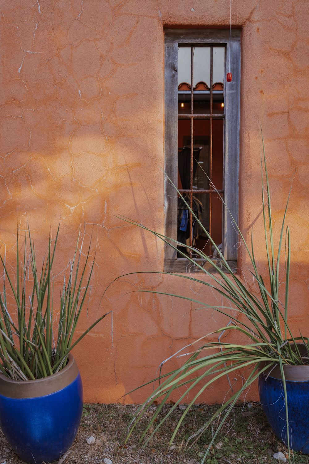 Adobe style stucco wall with two windows and blue ceramic pots containing desert plants creates a Southwestern ambiance.