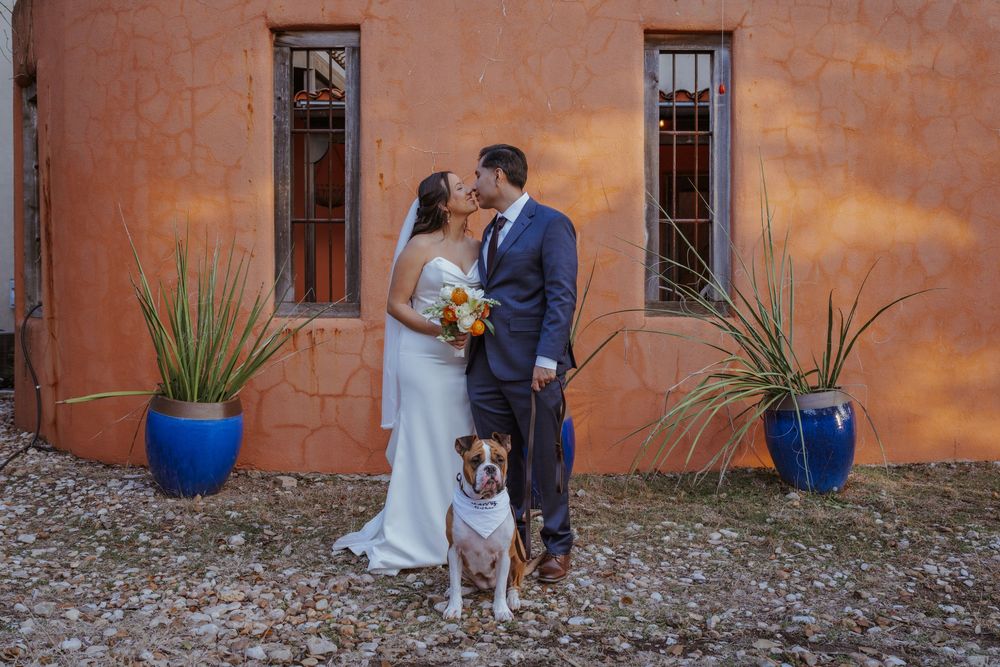 A couple in wedding attire stands with their dog against a rustic orange wall with blue potted plants.