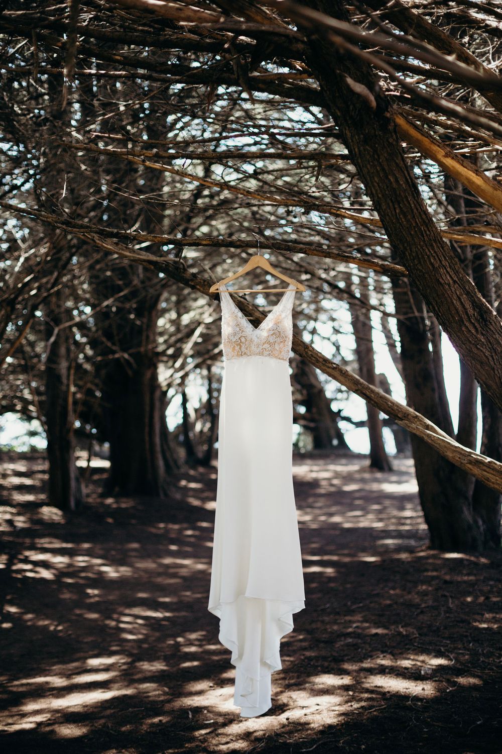 A white wedding dress hangs from a tree branch in a forest setting with dappled sunlight filtering through the trees.
