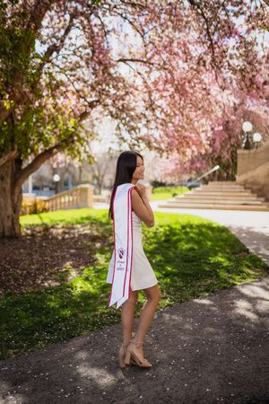 A scenic path under blooming cherry blossom trees with soft pink petals creating a romantic spring atmosphere.