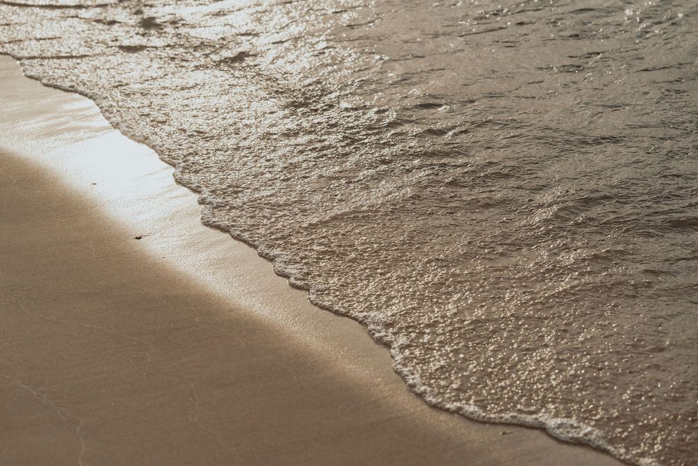 Indiana Dunes wedding photographer