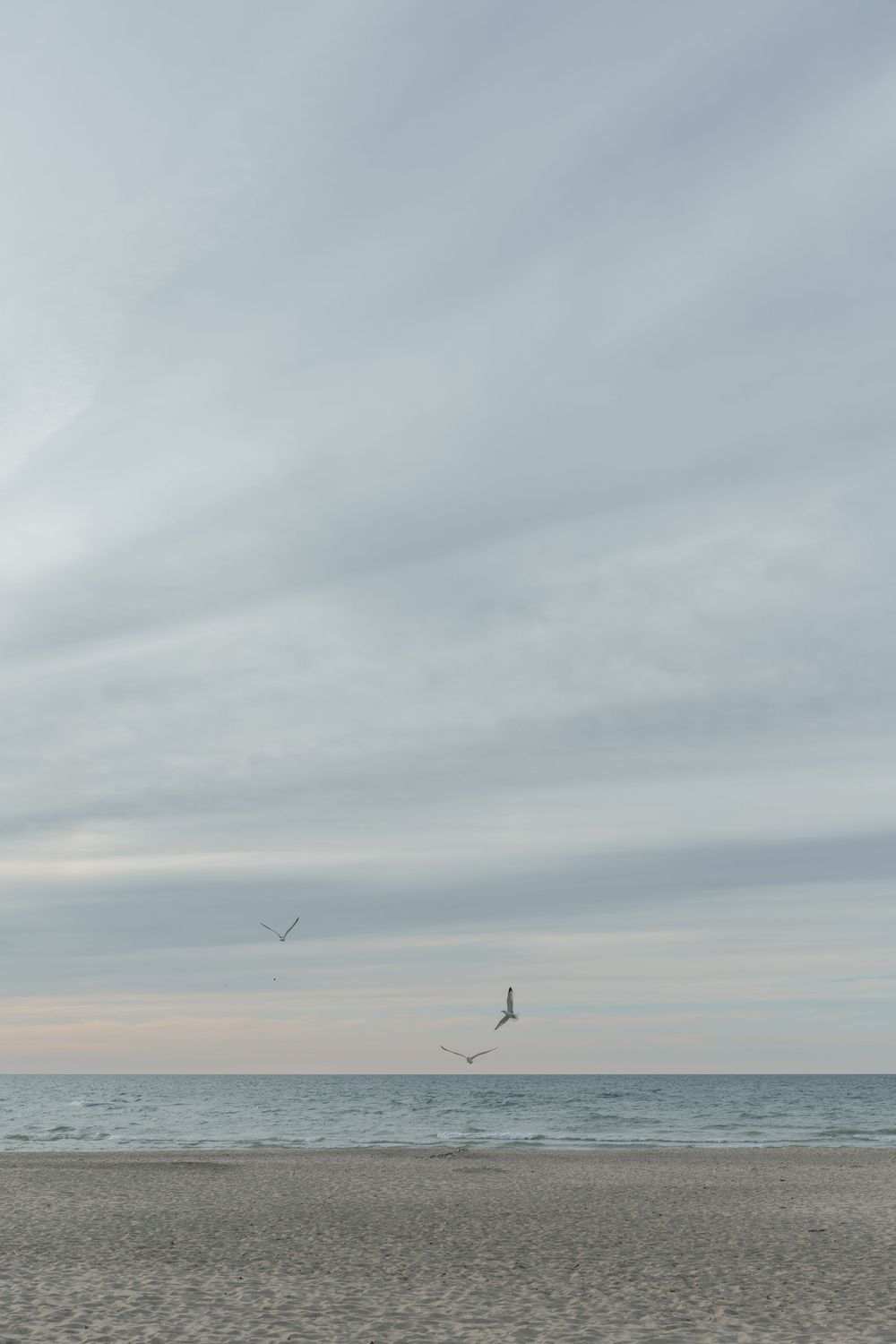Indiana Dunes wedding photographer