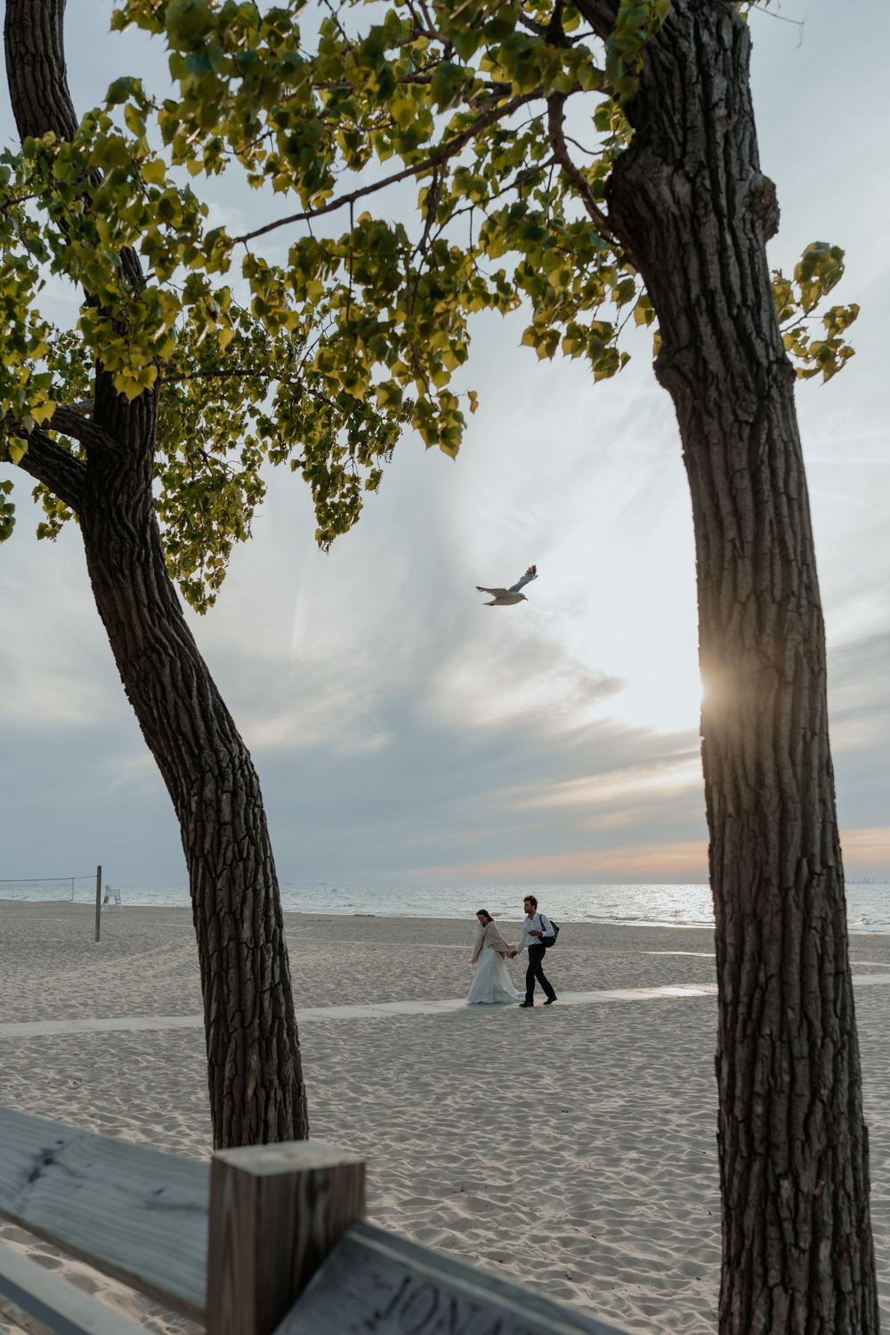 Indiana Dunes wedding photographer