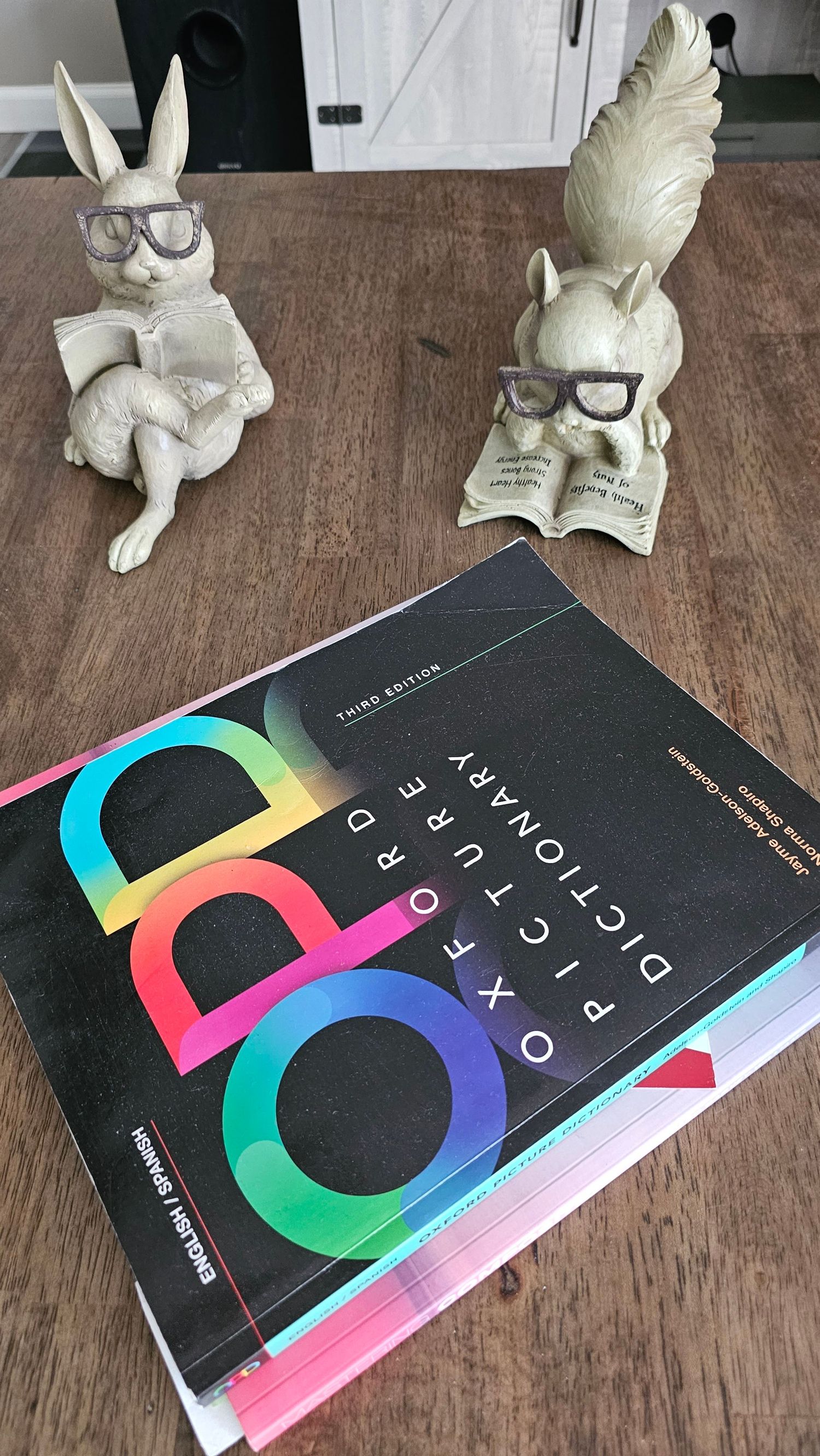 OPD digital dictionary book with rainbow letters sits on wooden floor beside two decorative white rabbit figurines wearing glasses.