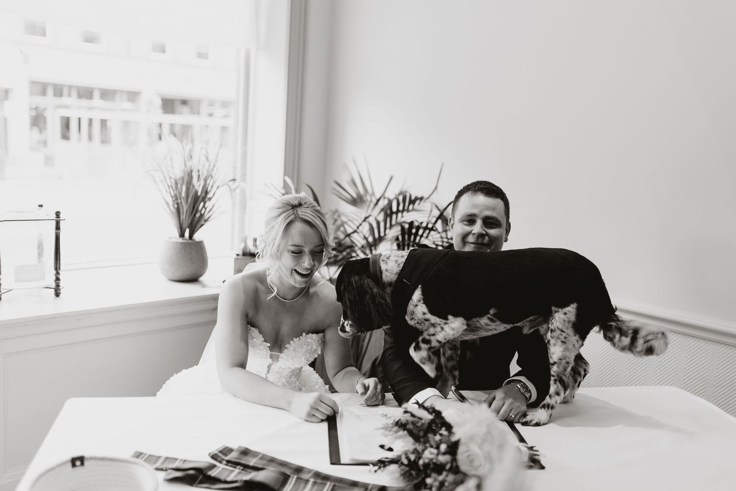 Couple sign their marriage certificate and their dog wants to get involved