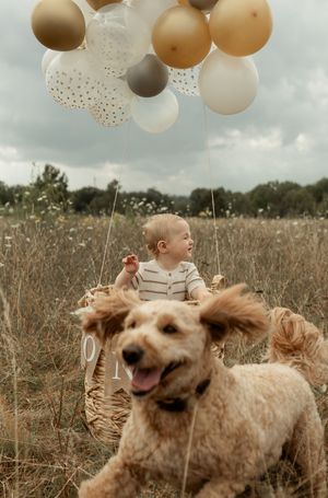 A joyful moment captured in a field with balloons as a dog and child play together under cloudy skies.