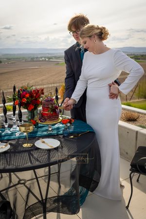 couple cutting jewel tone cake