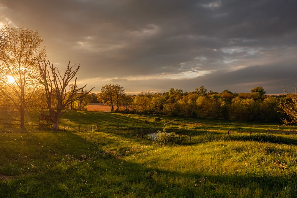 A dramatic panoramic landscape with rolling hills and trees at sunset under moody storm clouds.