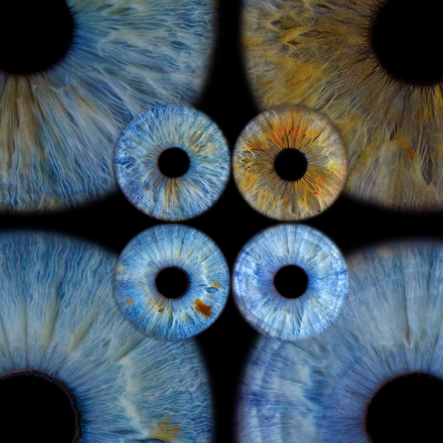 A series of extreme close-up photographs showing blue and gold human irises with intricate patterns and dark pupils.