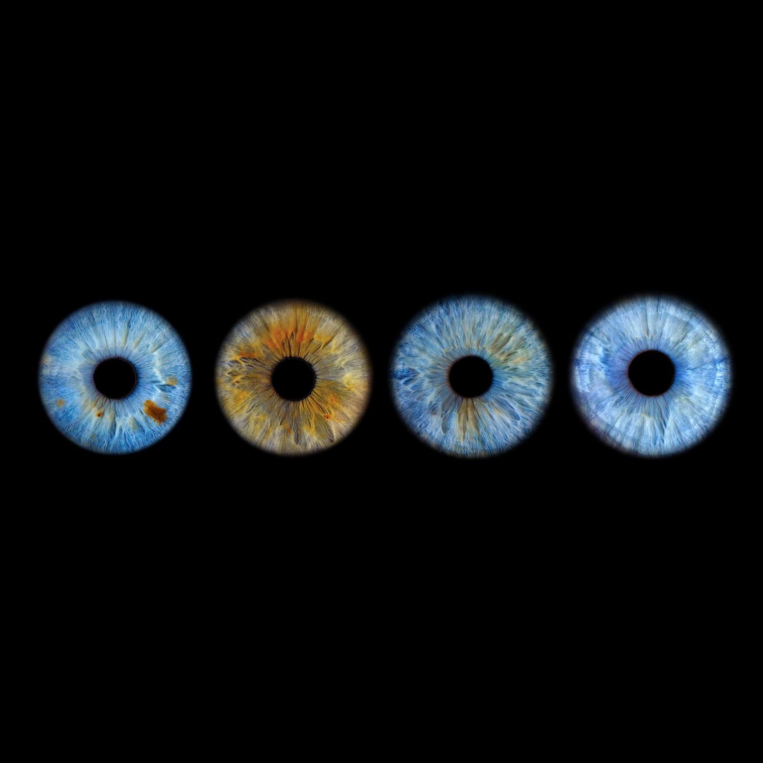 A series of colorful human iris close-up photographs arranged in a row showing varying shades of blue and brown patterns.