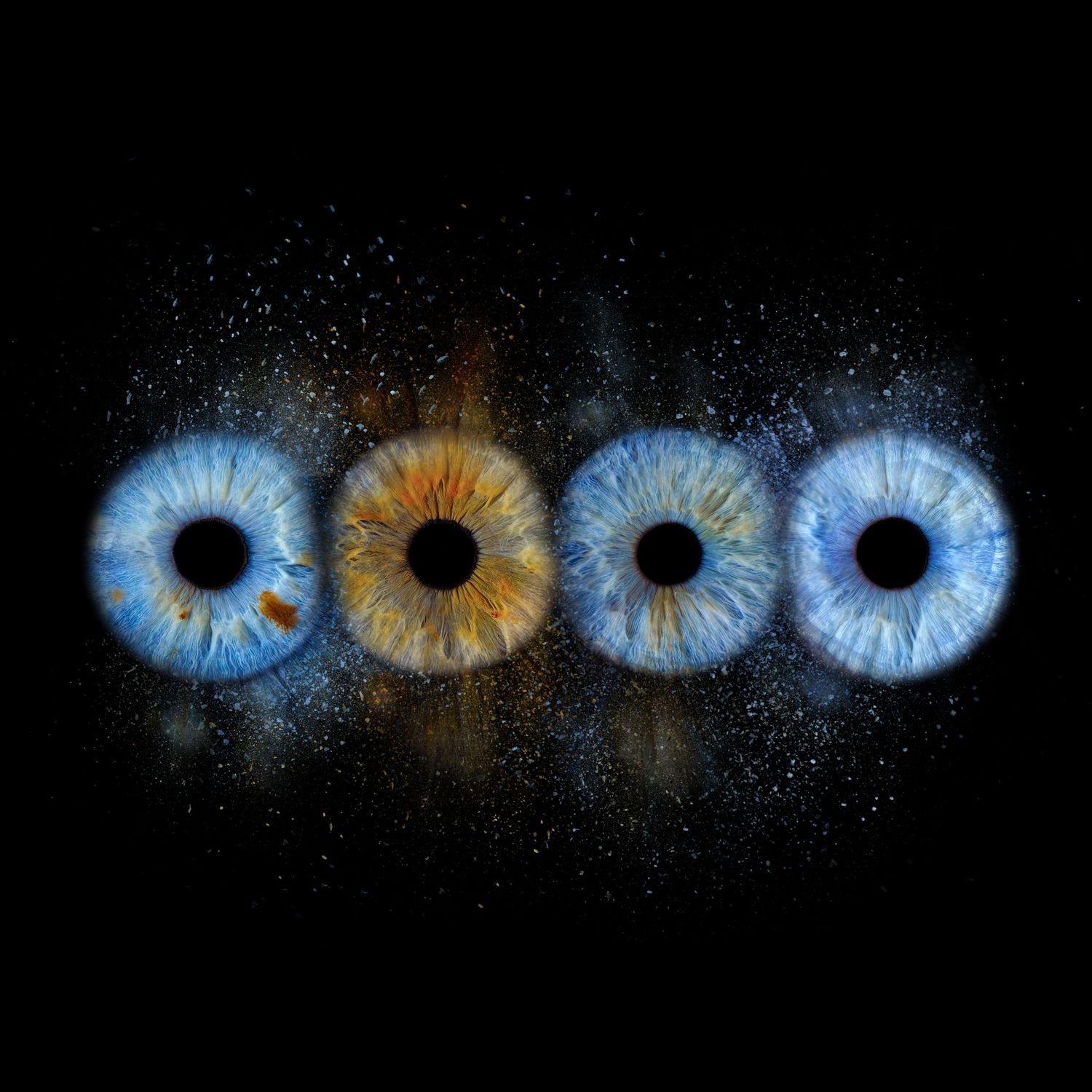 Four vivid iris close-ups in blue and amber colors arranged in a row against a dark background with sparkly effects.