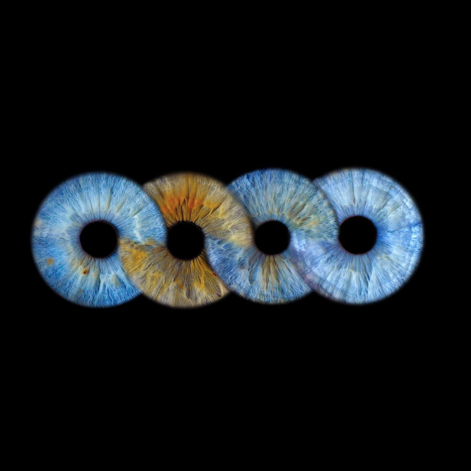 Four detailed eye iris patterns in blue and amber tones arranged horizontally in a row against black background.