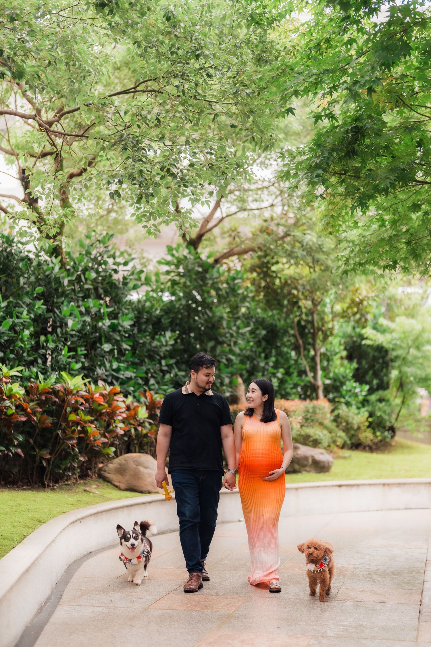 A couple walks their two dogs on a paved pathway surrounded by lush tropical greenery.