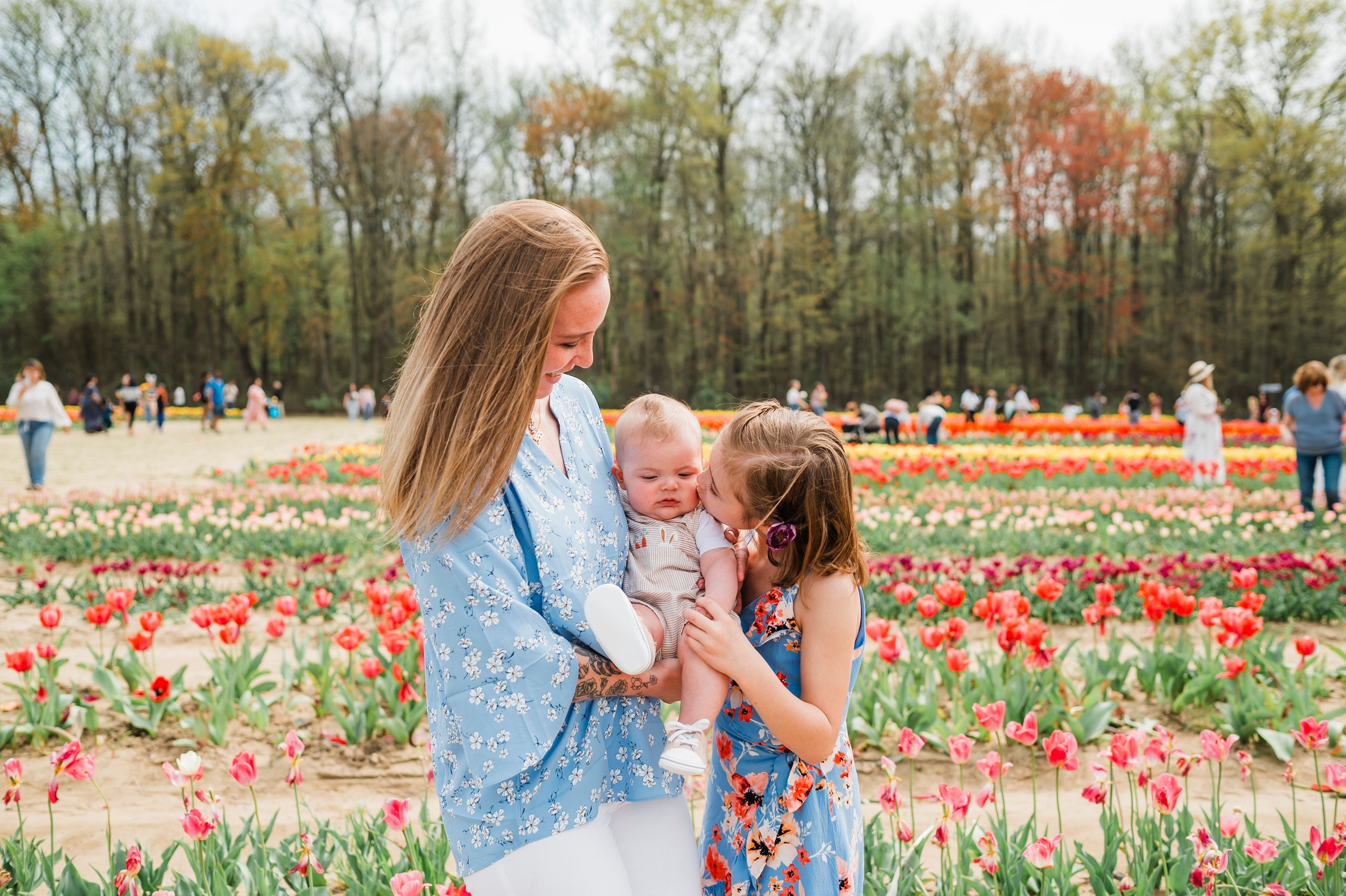 People explore vibrant tulip fields on a sunny spring day at a flower farm during peak bloom season.