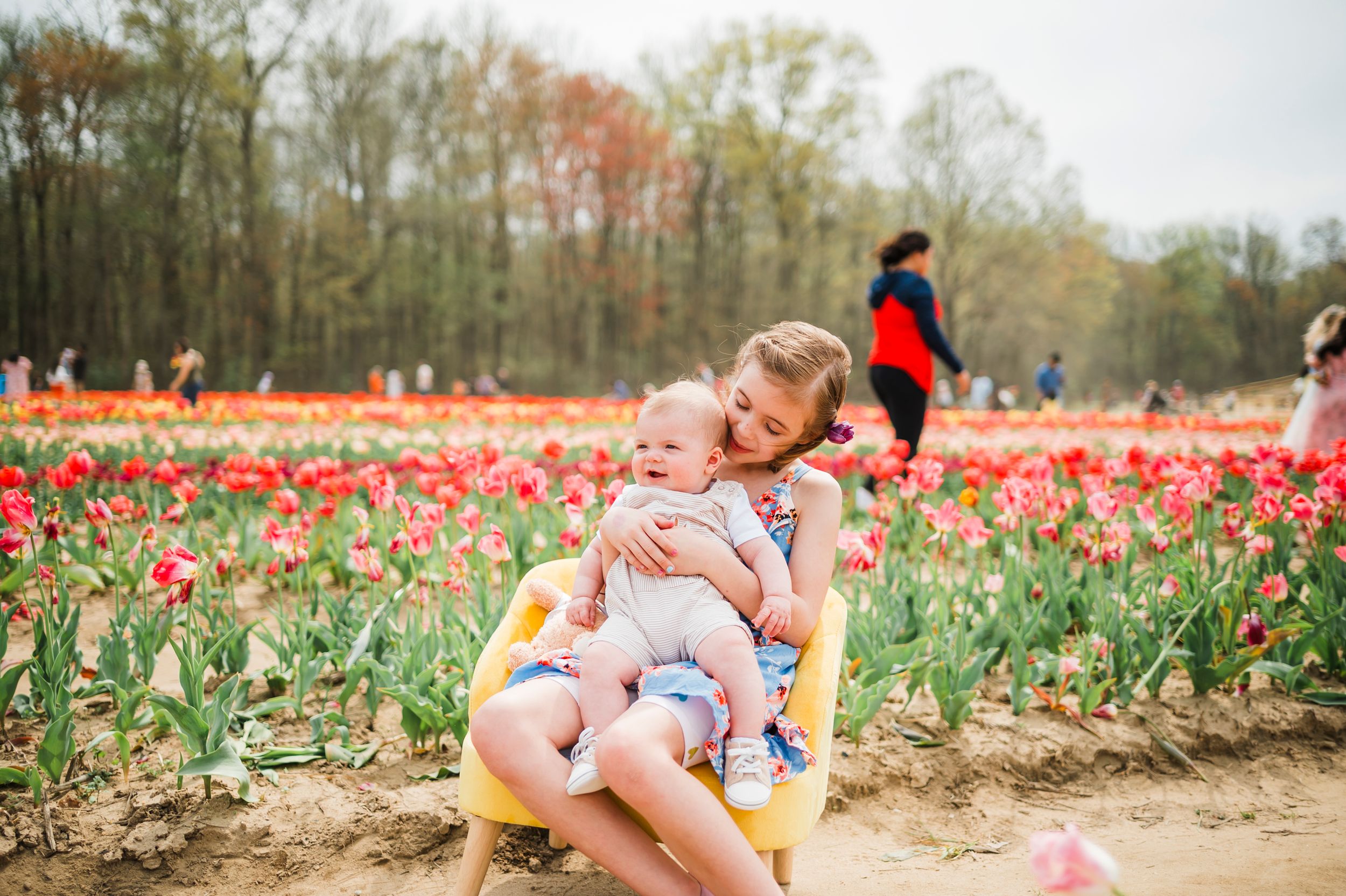 A series of images showing people sitting in a vibrant tulip field during springtime.
