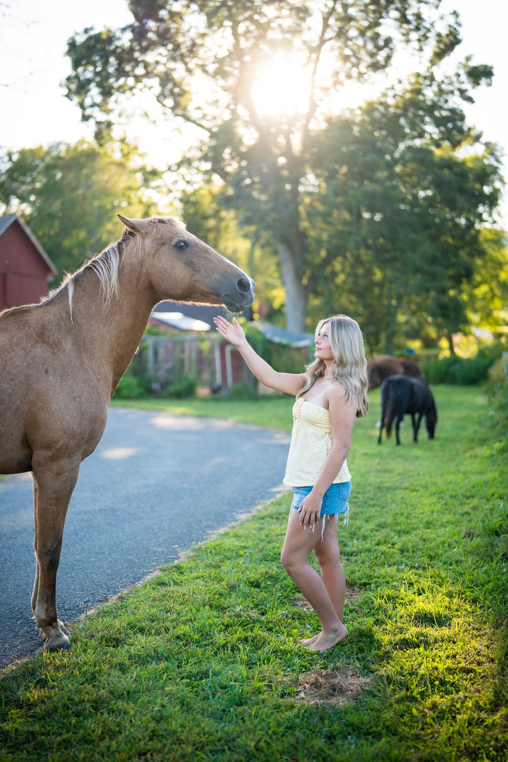 Someone interacts playfully with horses on a grassy path during sunset.