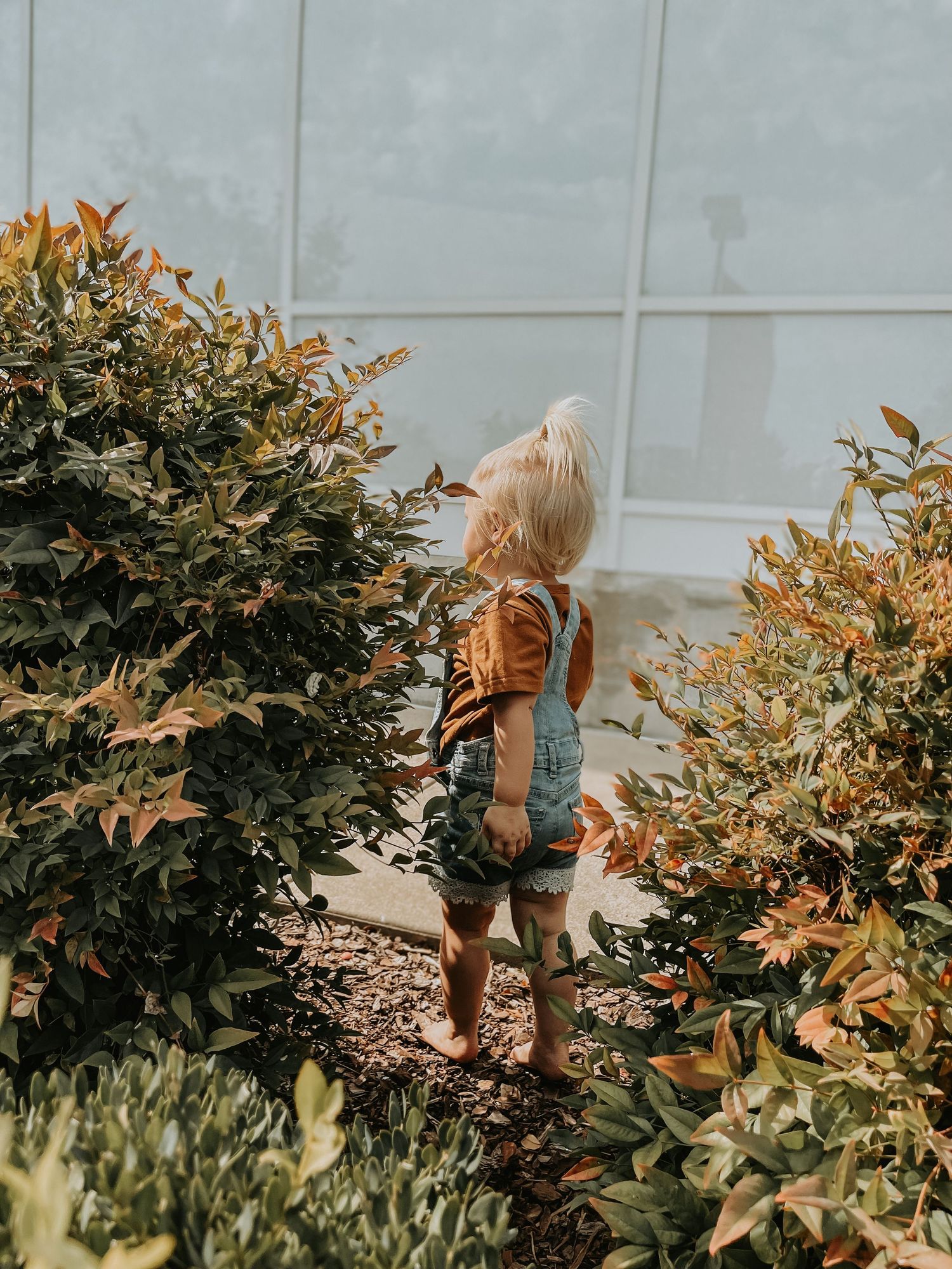 Small child wearing overalls explores garden setting with golden foliage and white wall backdrop during autumn season.