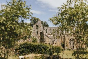 Picturesque stone castle ruins nestled among green trees under a bright blue summer sky.
