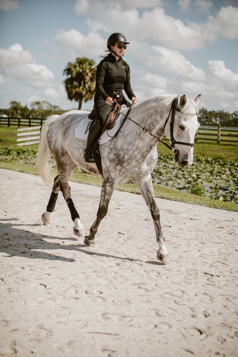 a girl and her horse