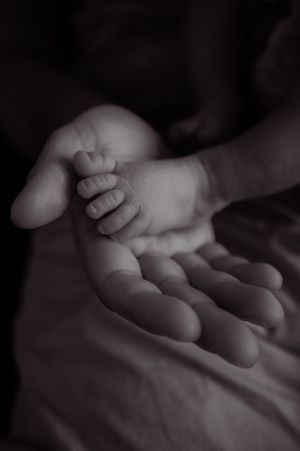 Close-up of a tiny baby's foot resting in an adult's palm.