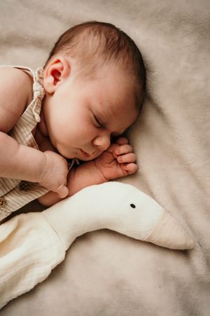 Peaceful infant sleeping alongside a white stuffed animal companion.