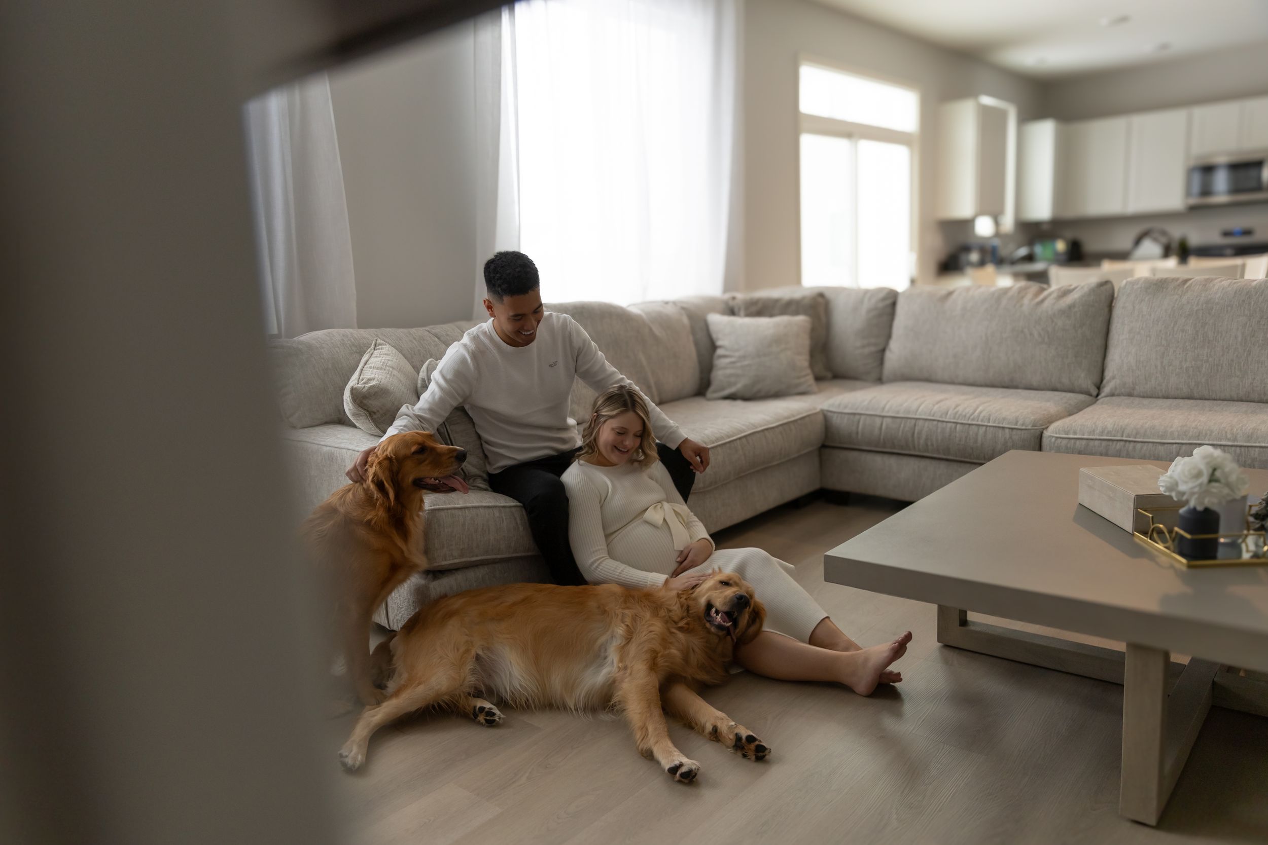 Expecting parents sharing a moment with their golden retrievers,  captured by Box of Sunshine Studios