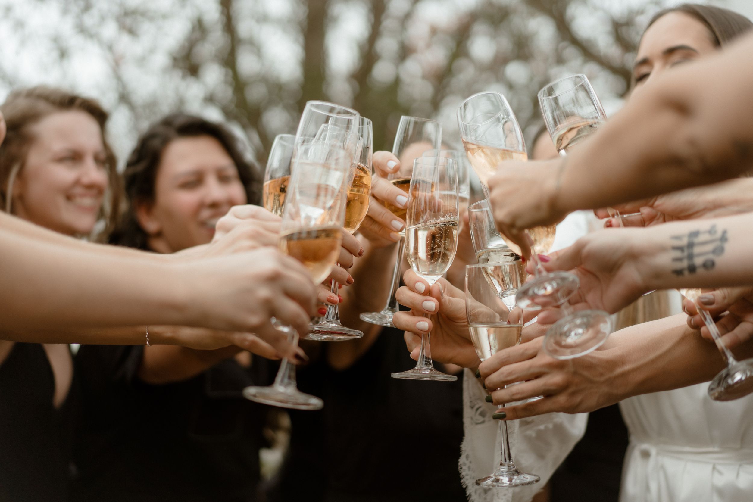 Friends toasting with wine glasses at a celebratory gathering.