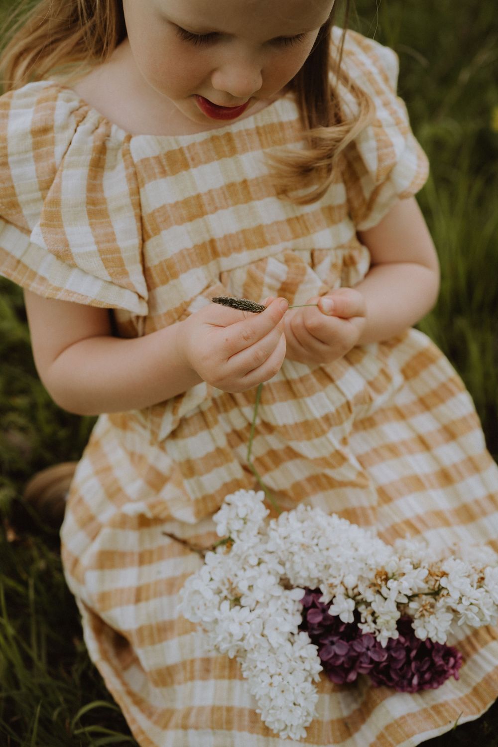 Child in gingham dress examining something while sitting with white flowers nearby.