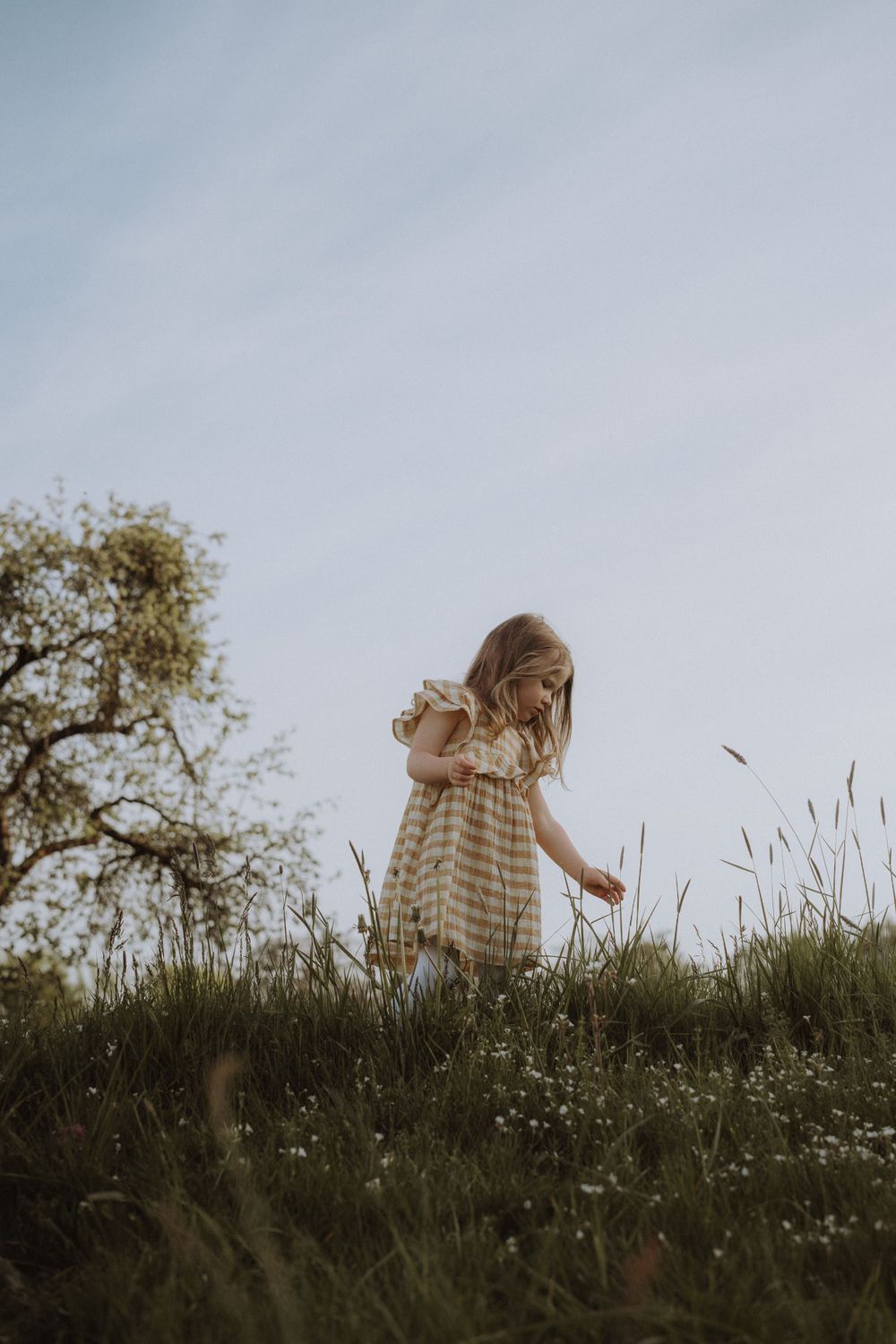 Person in gingham dress standing on grassy hillside against cloudy sky.