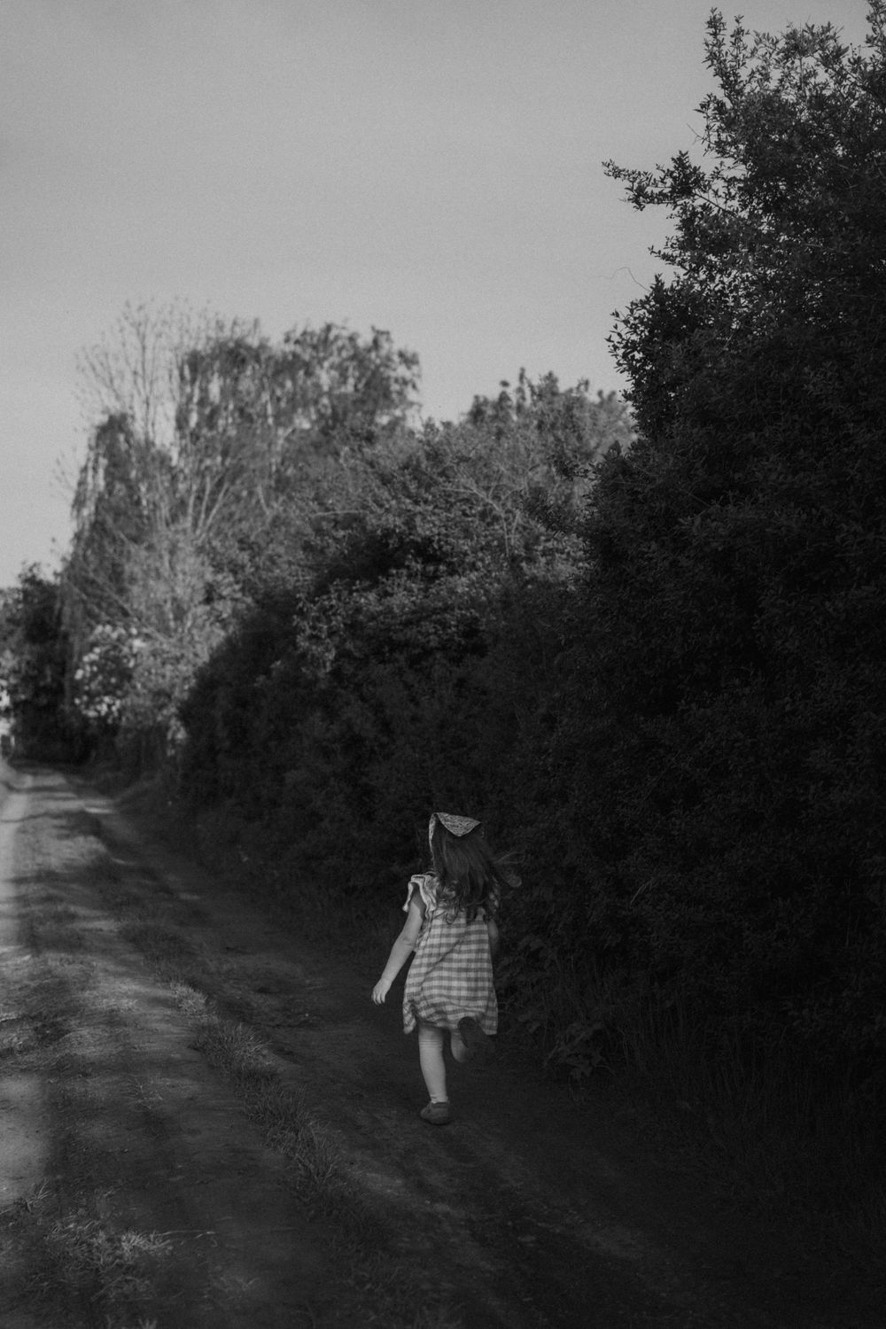 A figure walks alone on a country path bordered by dark trees in moody black and white.