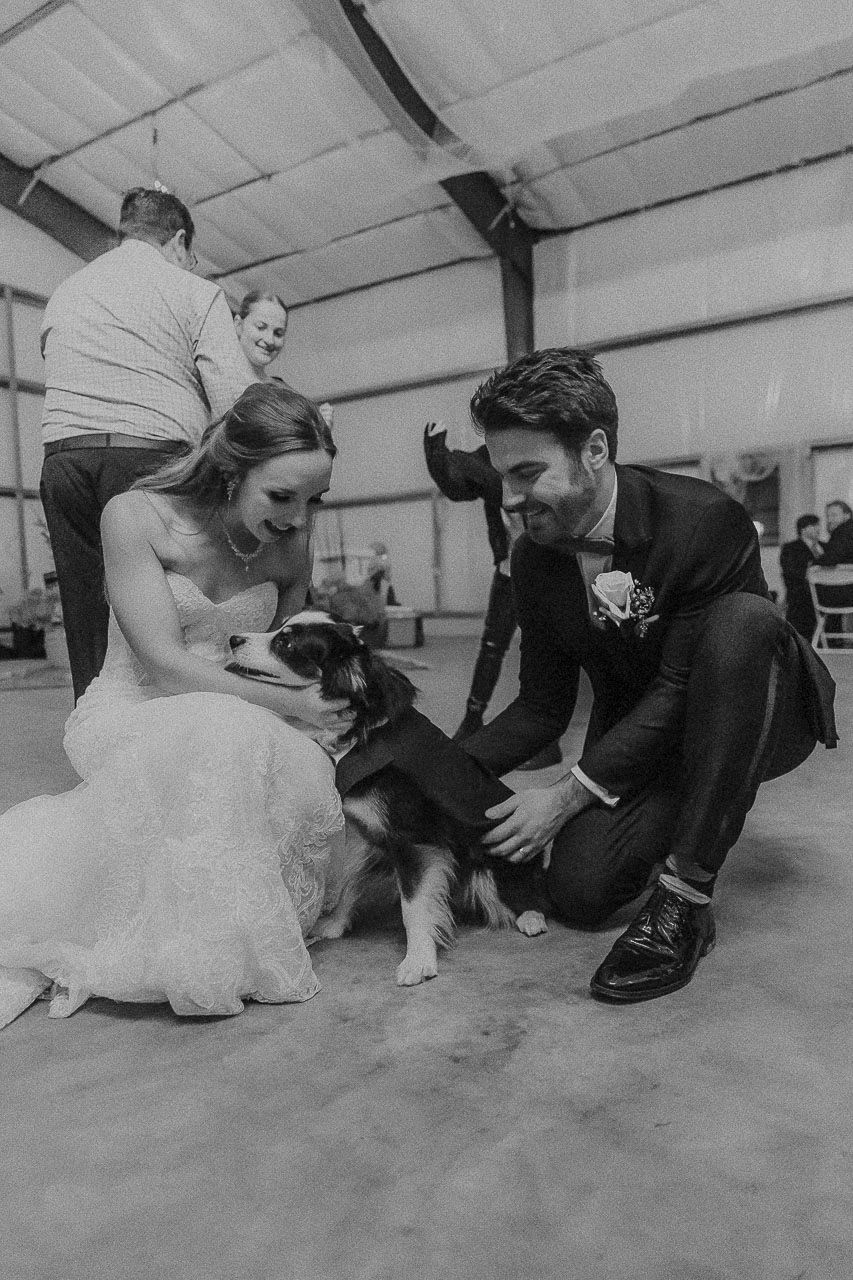 A couple in wedding attire kneels and pets their black and white dog during their wedding reception.