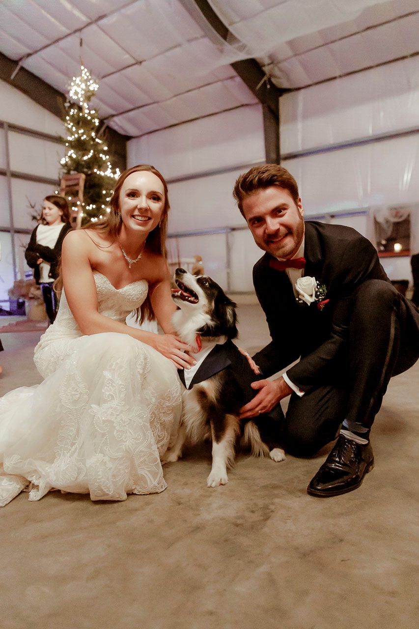 A couple in wedding attire poses with their husky dog at an indoor reception with a decorated Christmas tree in background.