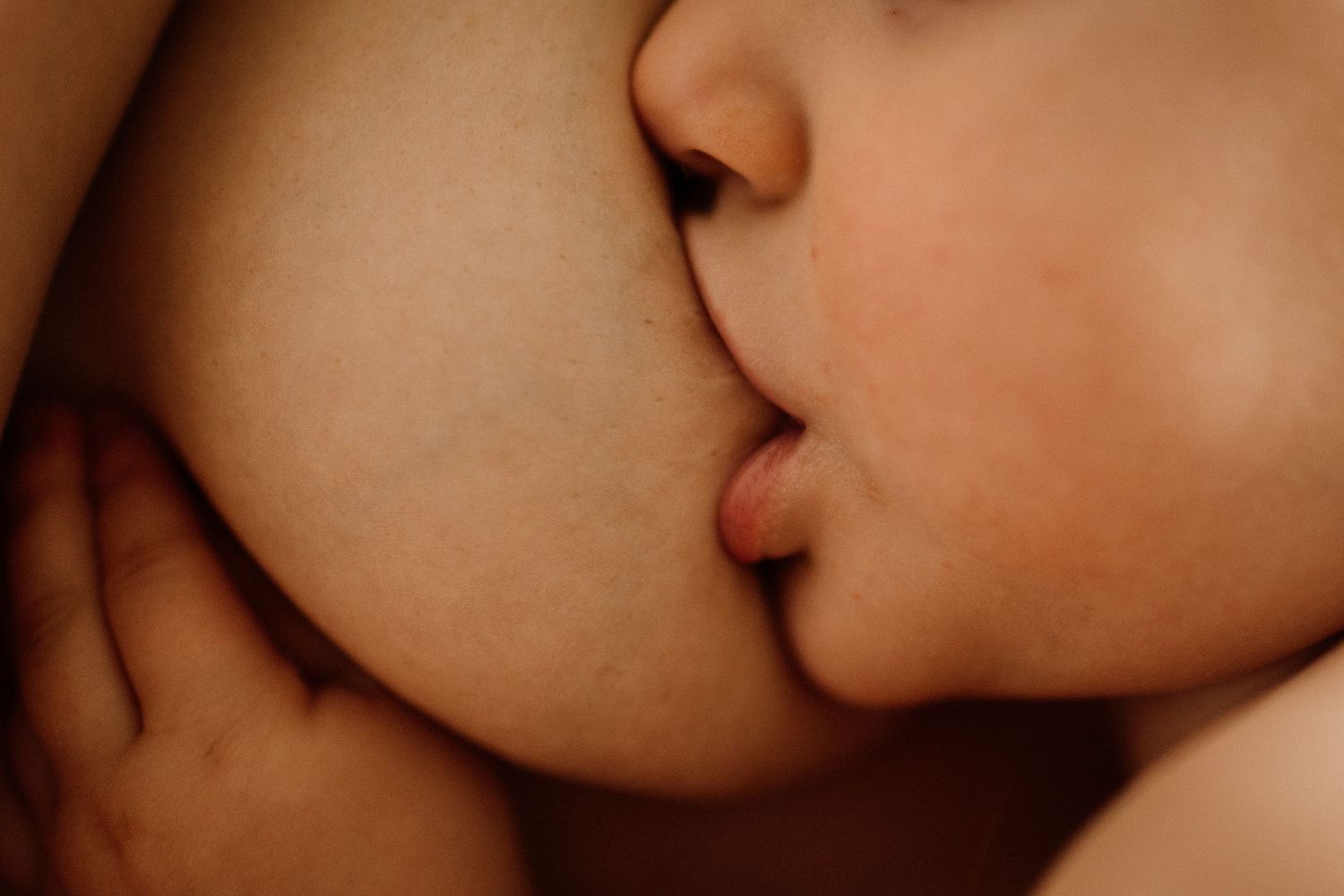 Close-up intimate breastfeeding photography in warm tones showing nurturing connection.