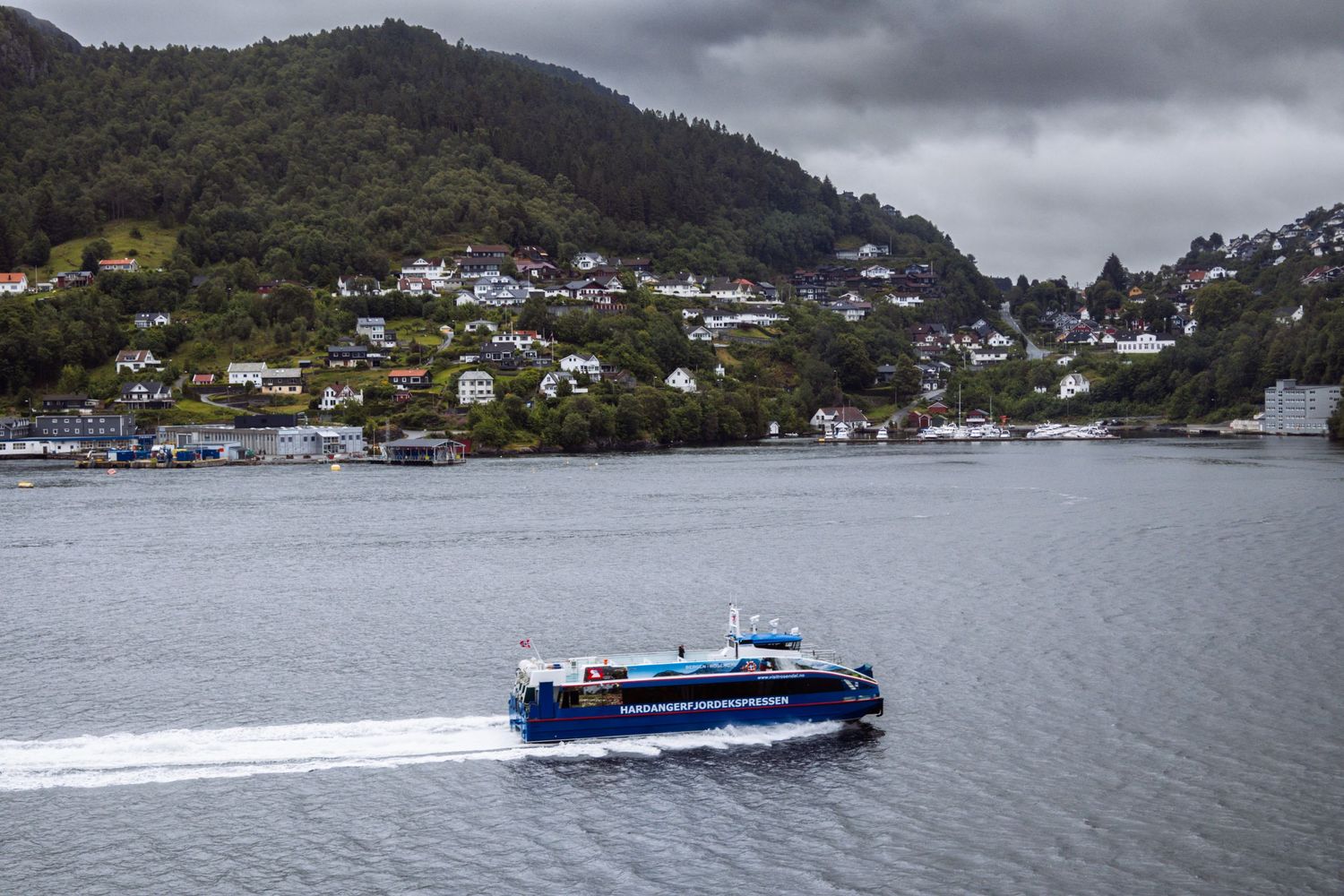 Blue passenger ferry cruising through a Norwegian fjord with hillside homes in the background.