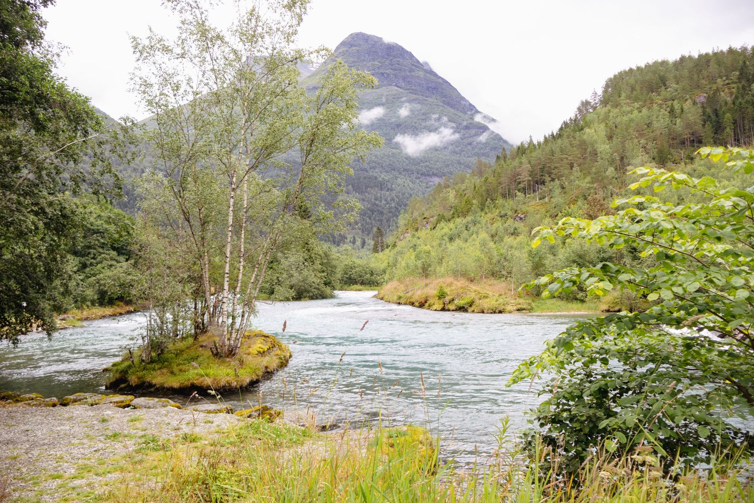 A scenic river bend surrounded by mountains and birch trees in a Norwegian landscape.