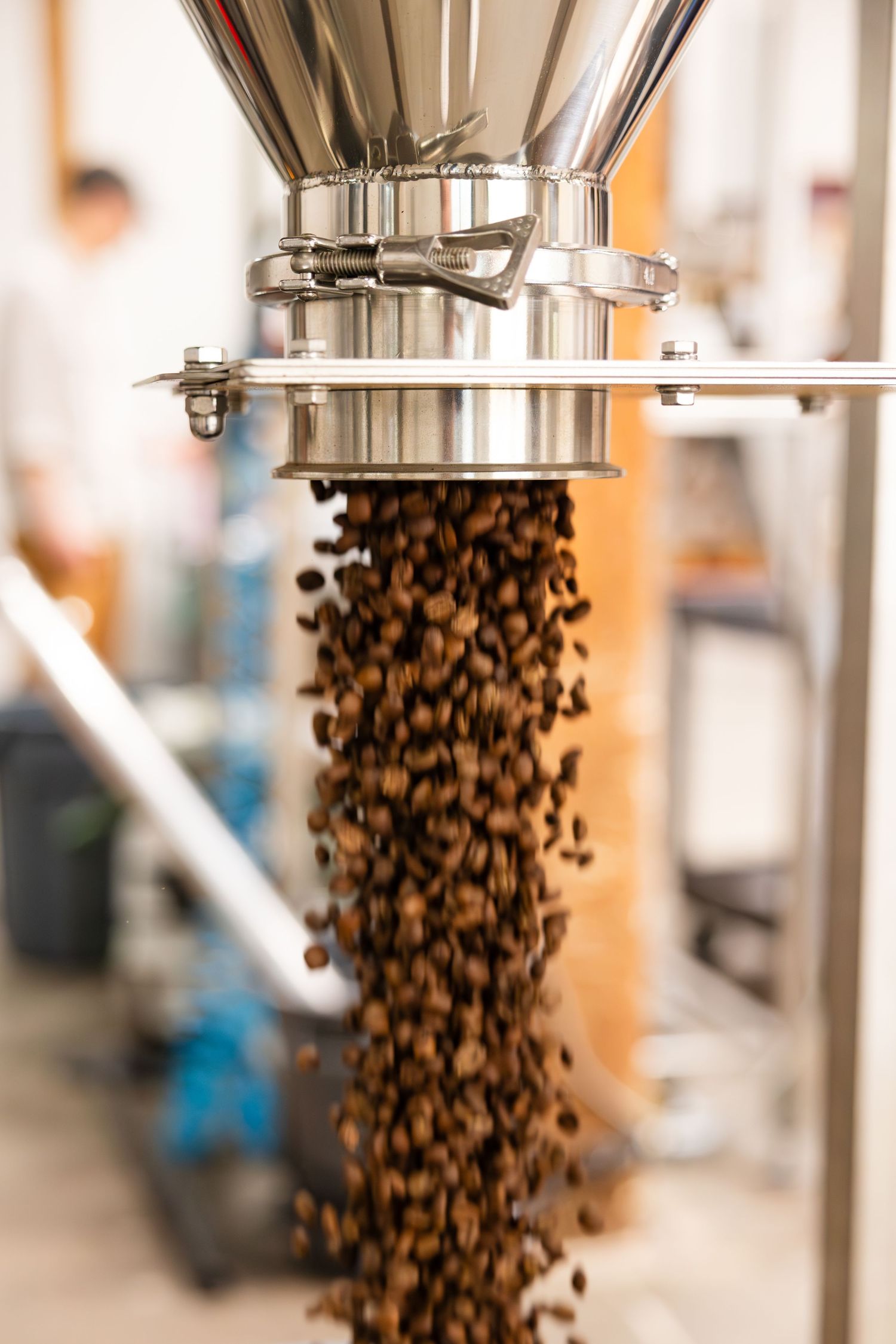 Fresh coffee beans flow through a stainless steel industrial roasting machine in a coffee production facility.