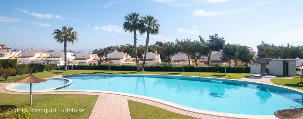 Luxurious outdoor swimming pool surrounded by palm trees and resort buildings under blue skies.