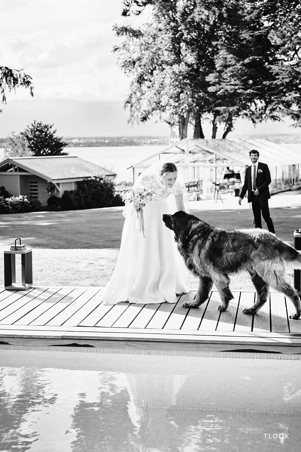 TLOOK photographe de mariage de style documentaire, portrait de la mariée avec son chien