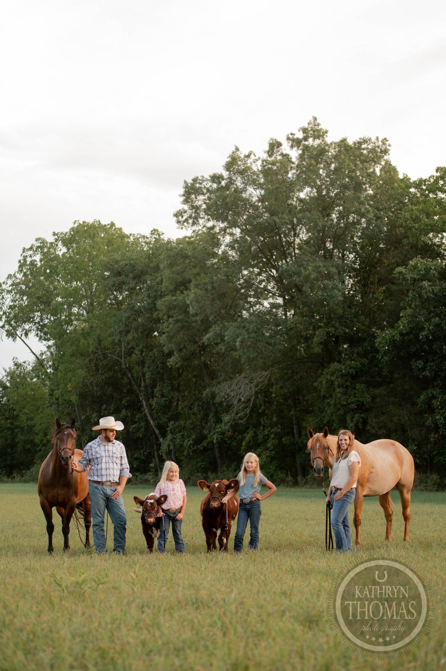 Several horses and calves gather with their handlers in a pastoral field at sunset.
