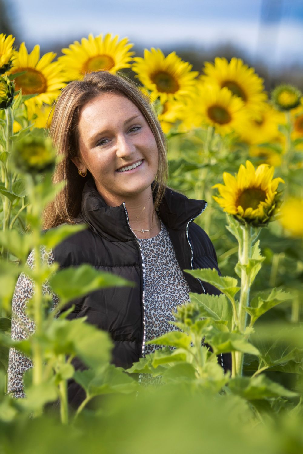 A bright yellow sunflower field on a sunny day creates a cheerful natural backdrop.