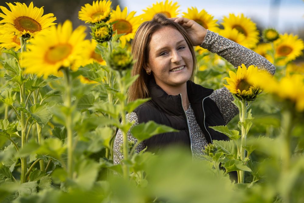 Someone poses among bright yellow sunflowers in a field wearing a black sweater on a sunny day.