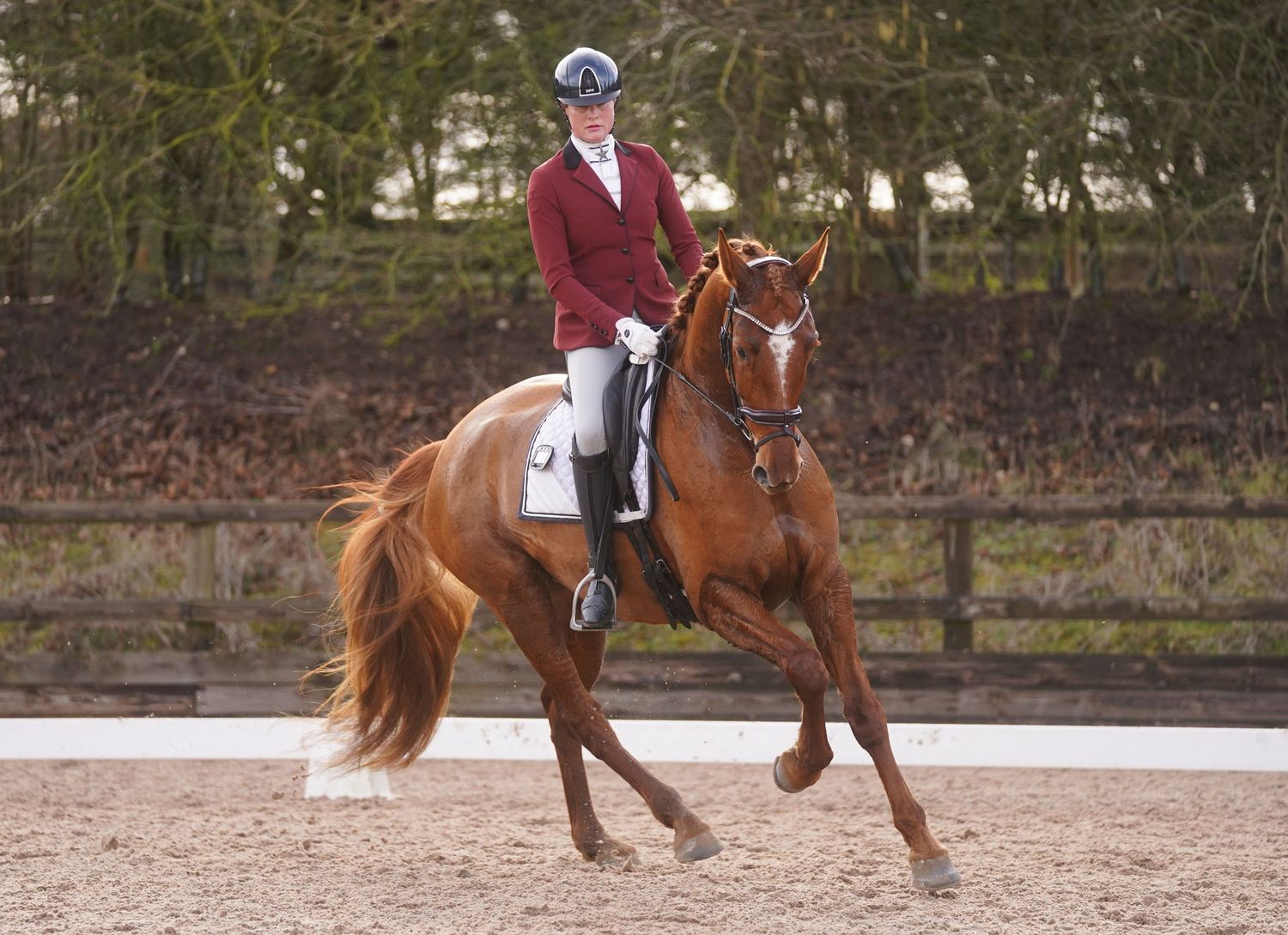 A rider in red jacket and helmet guides a chestnut horse performing dressage movements in an outdoor arena.