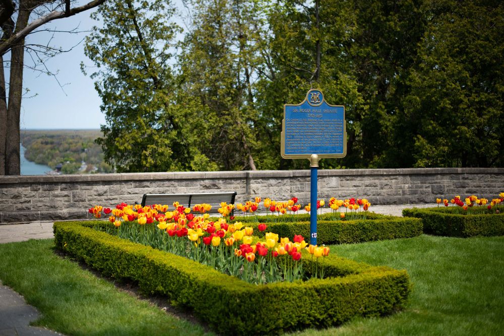 Orange tulips bloom in a manicured garden bed with boxwood hedges and a blue historical marker sign against green trees.