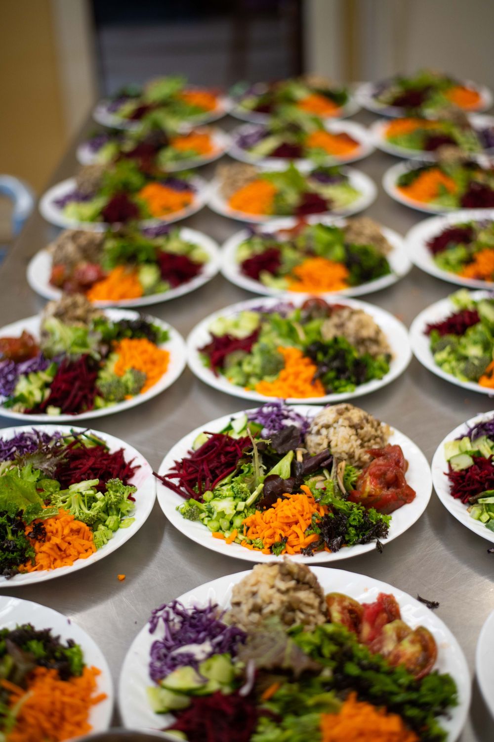 Multiple plates of colorful salads with shredded carrots, purple cabbage, mixed greens and beets arranged in neat rows.