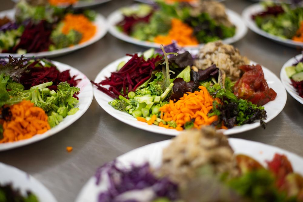 Multiple plates of fresh colorful salads with shredded carrots, purple cabbage, and mixed greens arranged on a table.