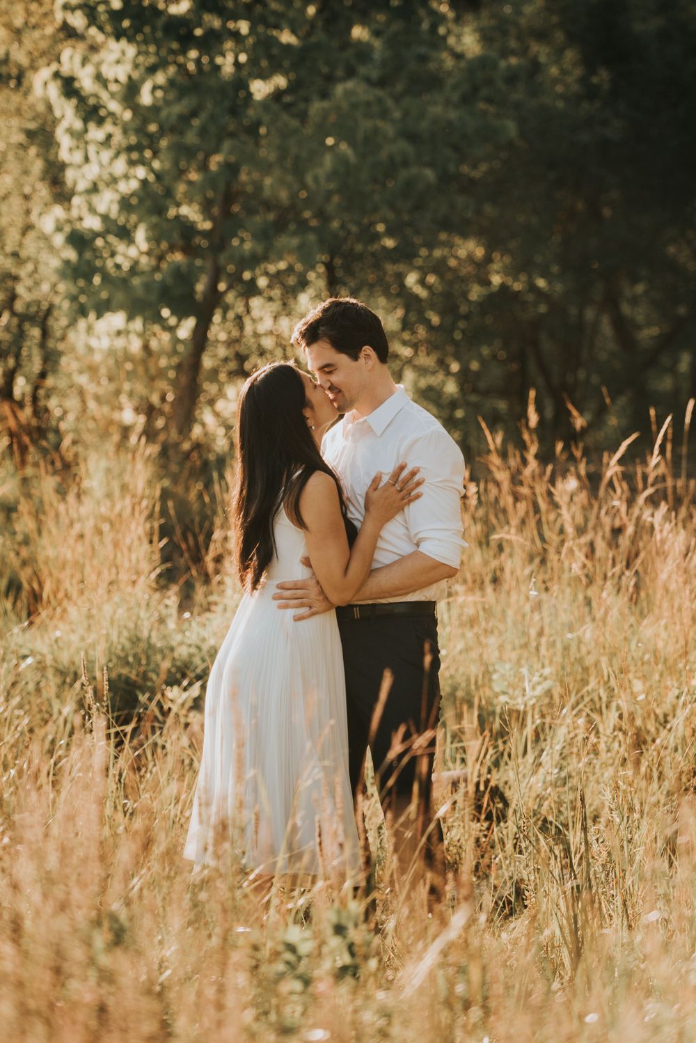 A couple embraces lovingly in a sun-lit meadow with tall golden grass and trees in the background.