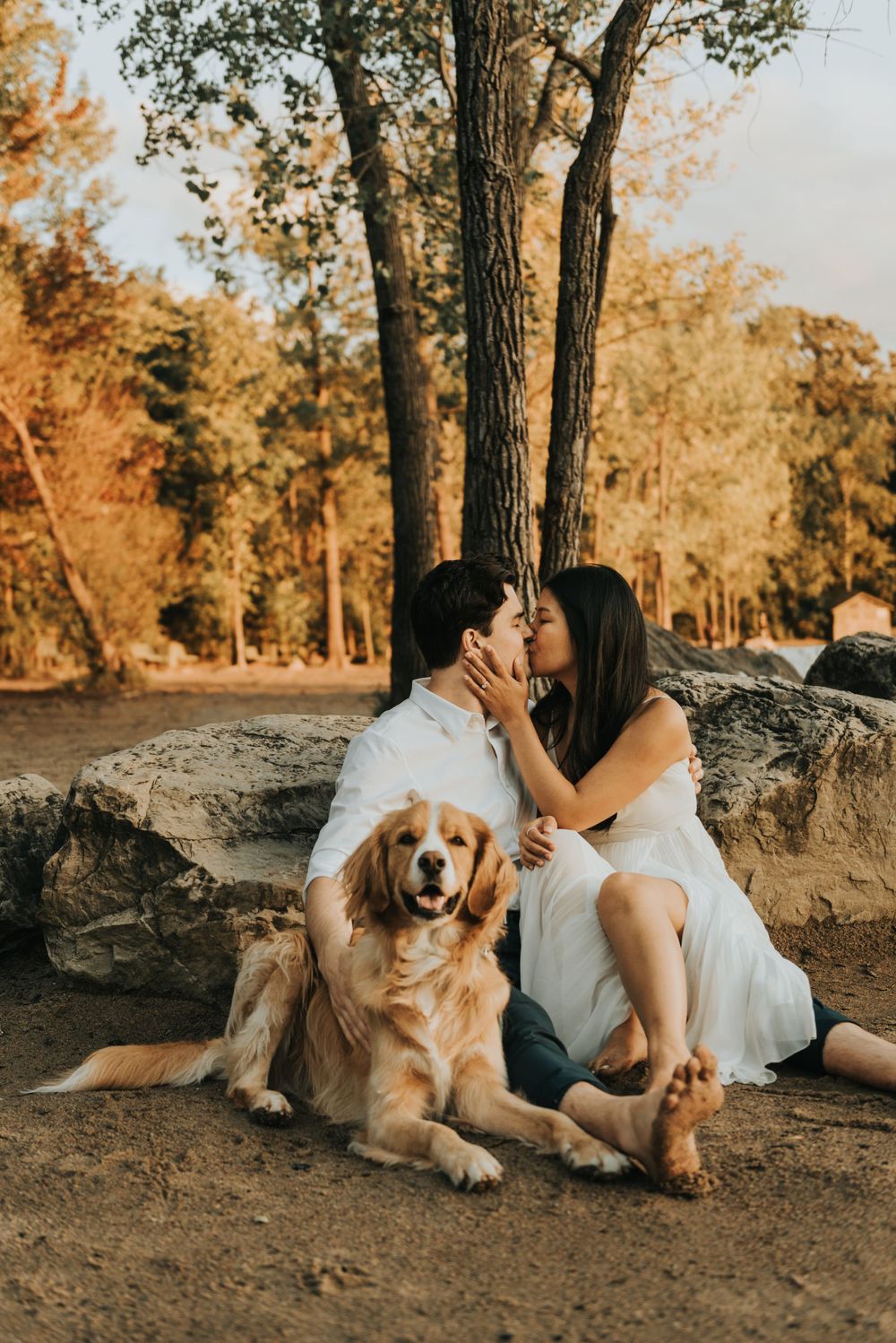 Golden retriever dog sits with couple during romantic sunset engagement photo session in wooded park.