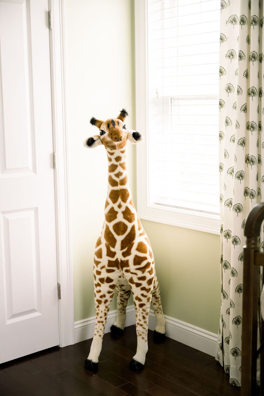 A sequence of four photos showing a stuffed giraffe toy peeking out from behind curtains in different playful poses.
